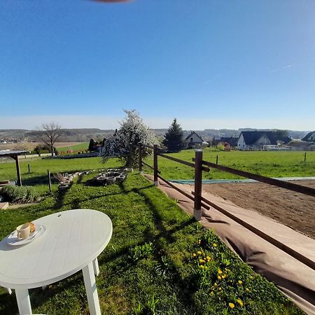 Location Type Gite, Chambre D'Hote, Meuble De Tourisme Dans Joli Petit Chalet Typique Et Ou Jolie Roulotte Type Boheme Waldighoffen Eksteriør billede