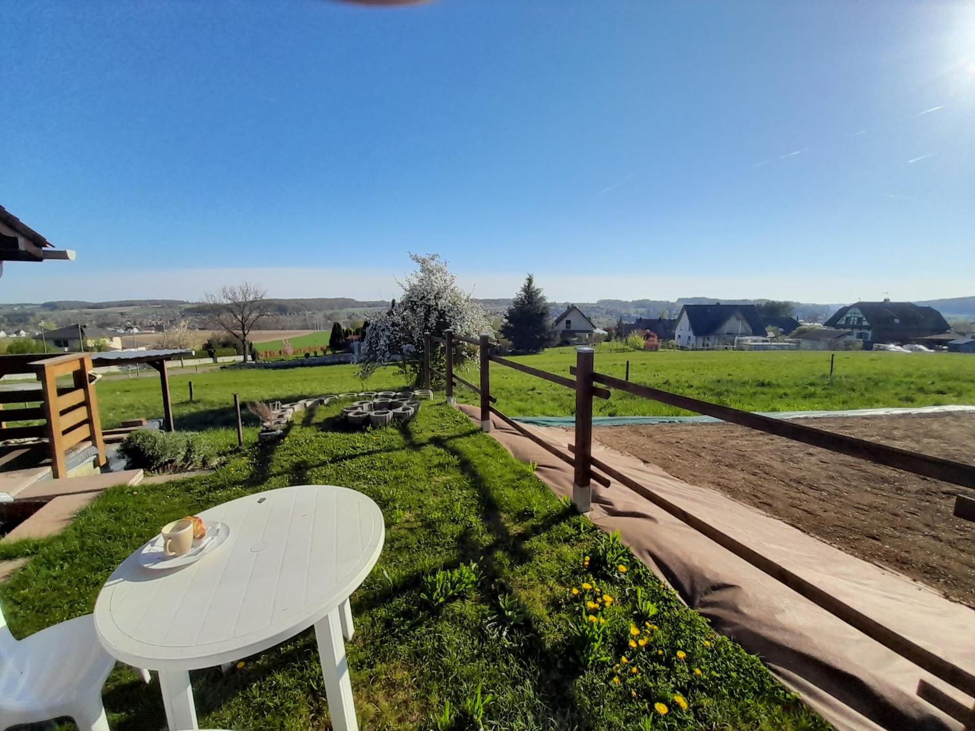 Location Type Gite, Chambre D'Hote, Meuble De Tourisme Dans Joli Petit Chalet Typique Et Ou Jolie Roulotte Type Boheme Waldighoffen Eksteriør billede